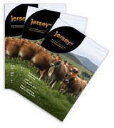 Jersey Focus magazine cover