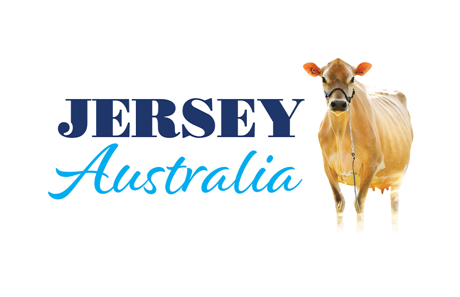 Jersey The Most Profitable & Sustainable Cow Jersey